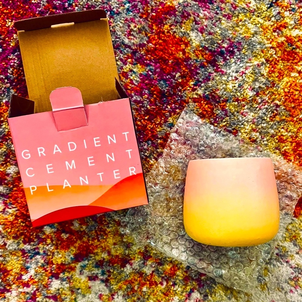 SUNSET PARK || Artisan Sunset Gradient Cement Planter ☀️NEW IN BOX☀️